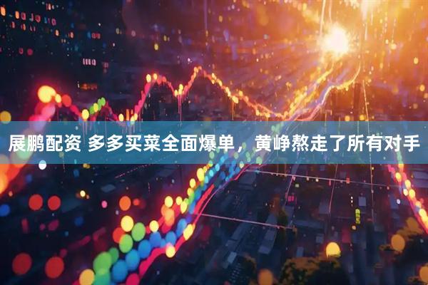 展鹏配资 多多买菜全面爆单，黄峥熬走了所有对手
