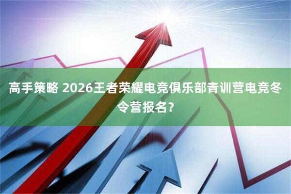 高手策略 2026王者荣耀电竞俱乐部青训营电竞冬令营报名？