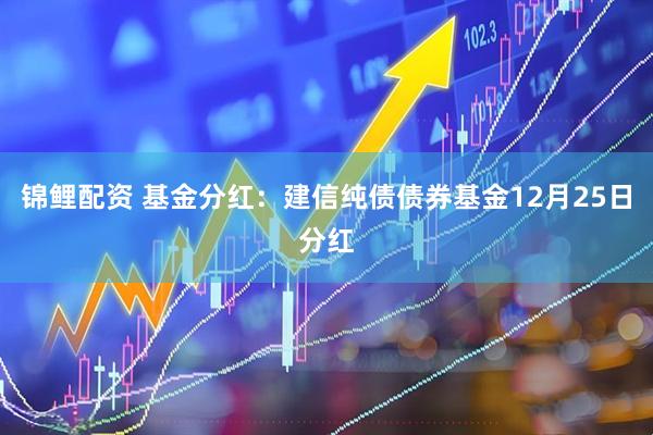 锦鲤配资 基金分红：建信纯债债券基金12月25日分红
