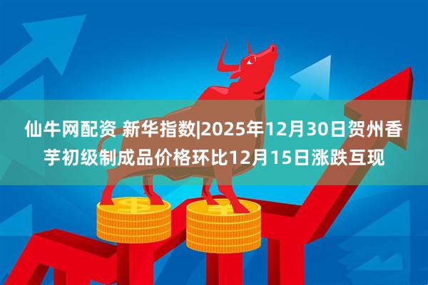 仙牛网配资 新华指数|2025年12月30日贺州香芋初级制成品价格环比12月15日涨跌互现
